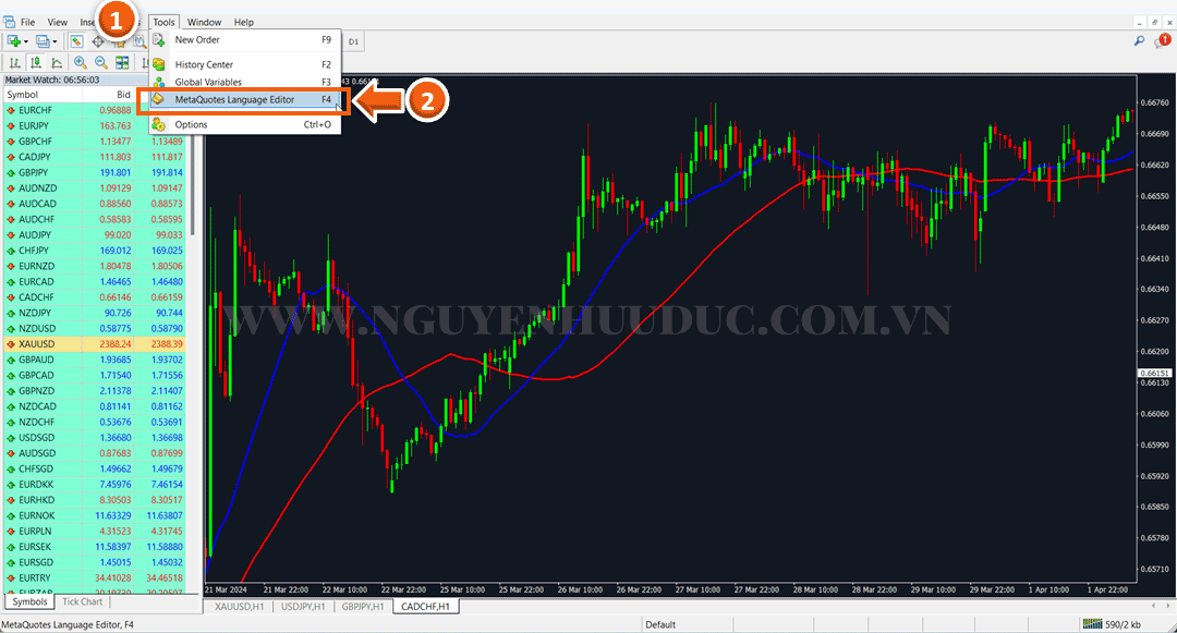 Giao diện phần mềm robot Forex với biểu đồ và thông số kỹ thuật